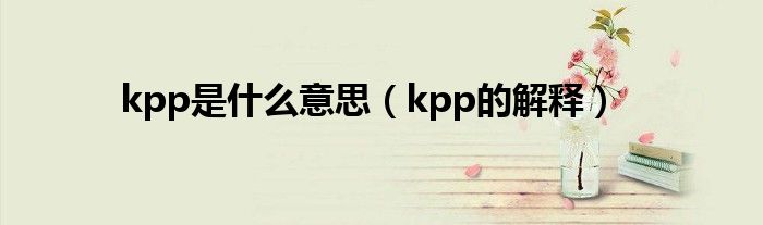 kpp是什么意思(kpp的解释)