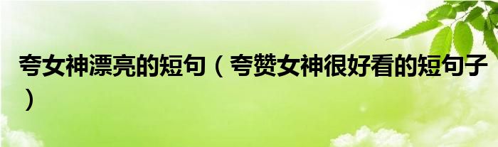 夸女神漂亮的短句(夸赞女神很好看的短句子)