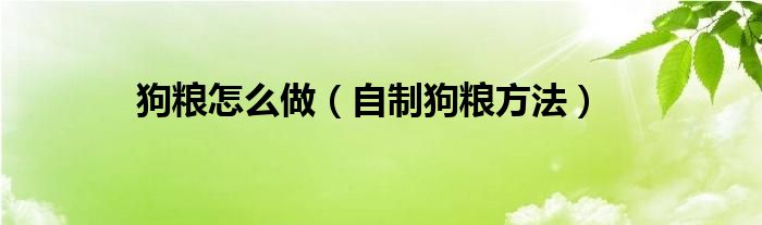 狗粮怎么做(自制狗粮方法)