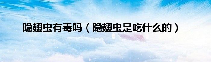 隐翅虫有毒吗(隐翅虫是吃什么的)