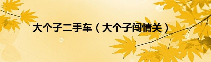 大个子二手车(大个子闯情关)