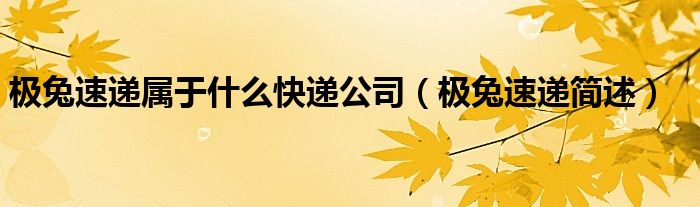 极兔速递属于什么快递公司(极兔速递简述)