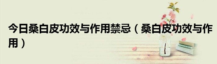今日桑白皮功效与作用禁忌(桑白皮功效与作用)