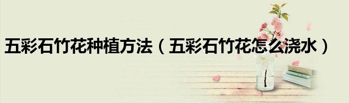 五彩石竹花种植方法(五彩石竹花怎么浇水)