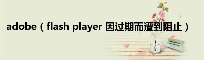adobe(flash player 因过期而遭到阻止)