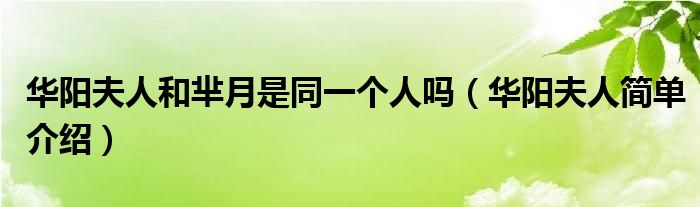 华阳夫人和芈月是同一个人吗(华阳夫人简单介绍)