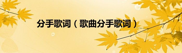 分手歌词（歌曲分手歌词）