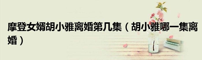 摩登女婿胡小雅离婚第几集(胡小雅哪一集离婚)
