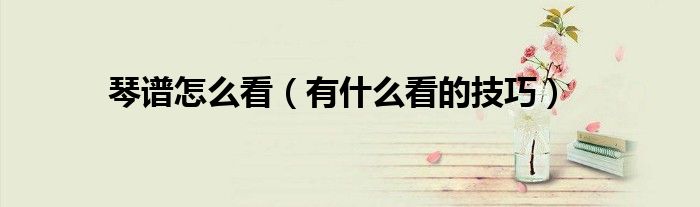 琴谱怎么看(有什么看的技巧)