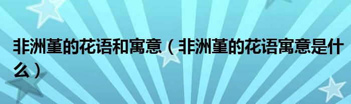 非洲堇的花语和寓意(非洲堇的花语寓意是什么)