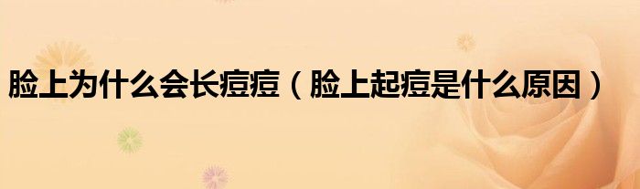 脸上为什么会长痘痘(脸上起痘是什么原因)
