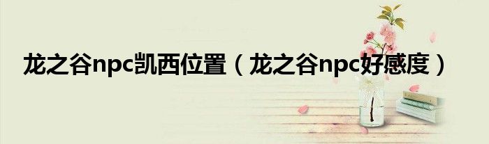 龙之谷npc凯西位置(龙之谷npc好感度)