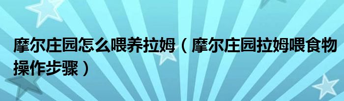 摩尔庄园怎么喂养拉姆(摩尔庄园拉姆喂食物操作步骤)