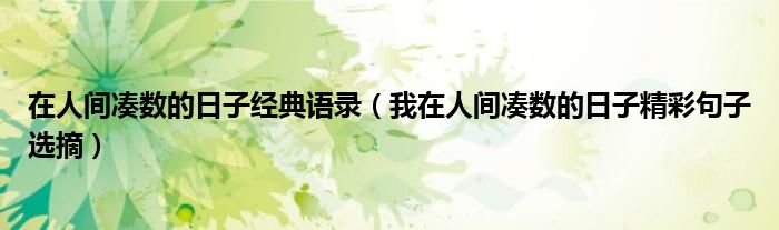 在人间凑数的日子经典语录(我在人间凑数的日子精彩句子选摘)