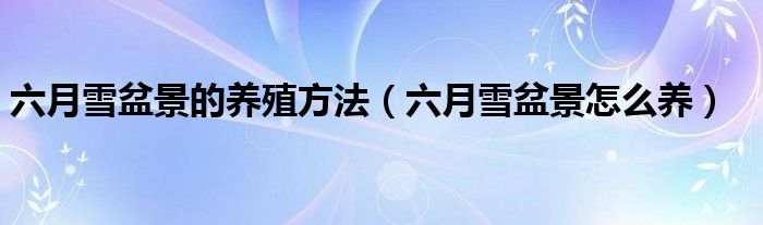 六月雪盆景的养殖方法(六月雪盆景怎么养)