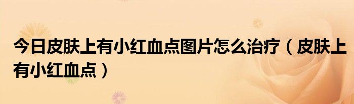 今日皮肤上有小红血点图片怎么治疗(皮肤上有小红血点)