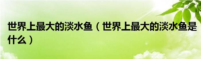 世界上最大的淡水鱼(世界上最大的淡水鱼是什么)