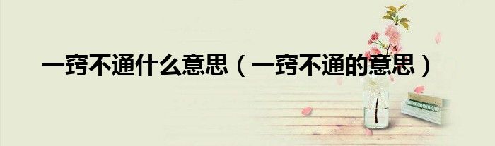 一窍不通什么意思(一窍不通的意思)