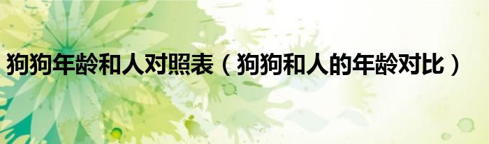 狗狗年龄和人对照表(狗狗和人的年龄对比)