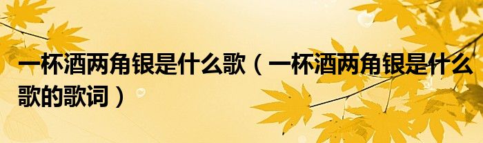 一杯酒两角银是什么歌(一杯酒两角银是什么歌的歌词)