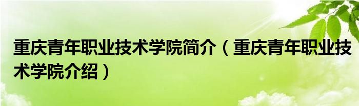 重庆青年职业技术学院简介(重庆青年职业技术学院介绍)