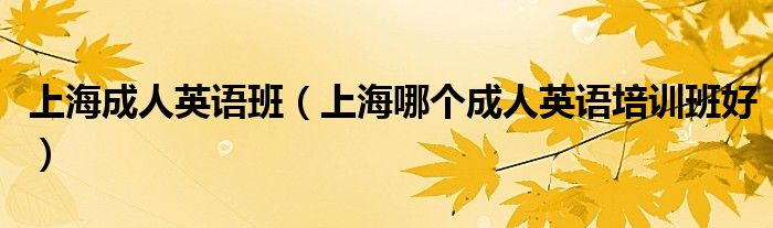 上海成人英语班(上海哪个成人英语培训班好)