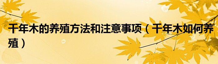 千年木的养殖方法和注意事项(千年木如何养殖)
