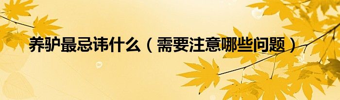 养驴最忌讳什么(需要注意哪些问题)