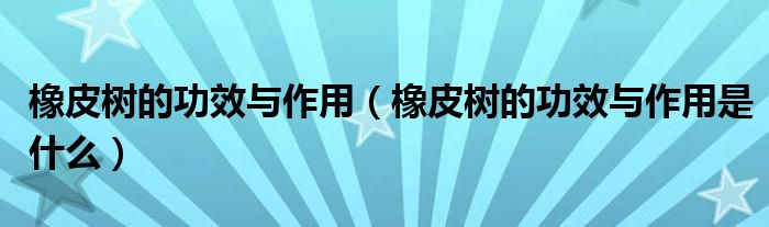 橡皮树的功效与作用(橡皮树的功效与作用是什么)