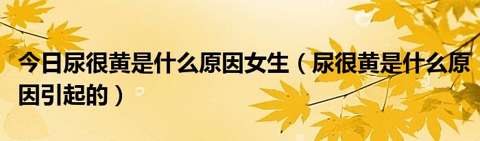 今日尿很黄是什么原因女生(尿很黄是什么原因引起的)
