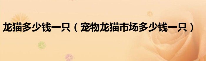 龙猫多少钱一只(宠物龙猫市场多少钱一只)