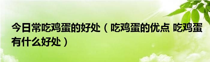 今日常吃鸡蛋的好处(吃鸡蛋的优点 吃鸡蛋有什么好处)
