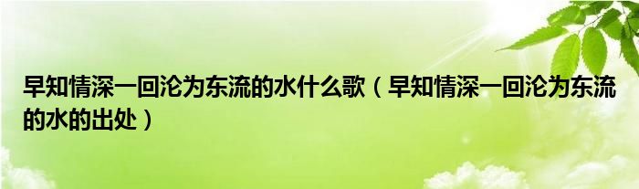 早知情深一回沦为东流的水什么歌(早知情深一回沦为东流的水的出处)