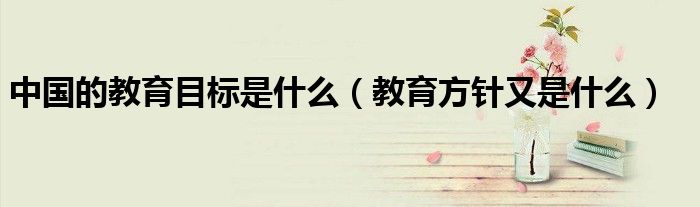 中国的教育目标是什么(教育方针又是什么)