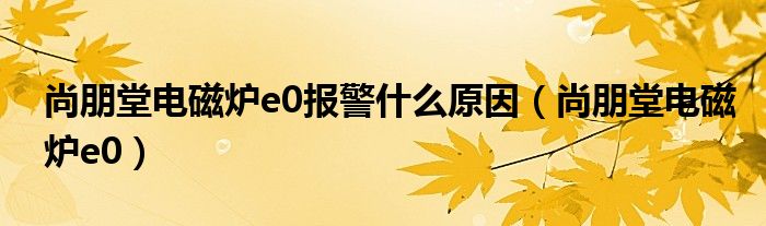尚朋堂电磁炉e0报警什么原因(尚朋堂电磁炉e0)