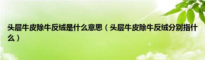 头层牛皮除牛反绒是什么意思(头层牛皮除牛反绒分别指什么)