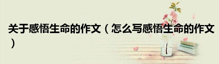 关于感悟生命的作文（怎么写感悟生命的作文）