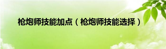 枪炮师技能加点(枪炮师技能选择)