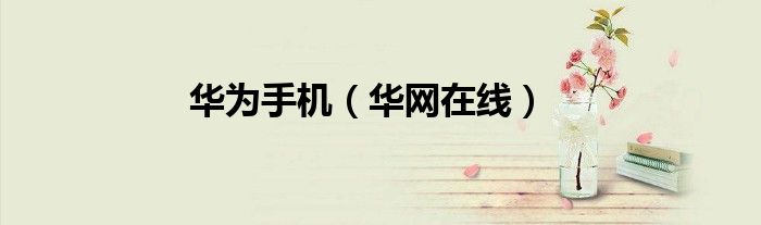 华为手机（华网在线）