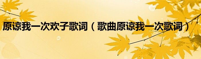 原谅我一次欢子歌词(歌曲原谅我一次歌词)