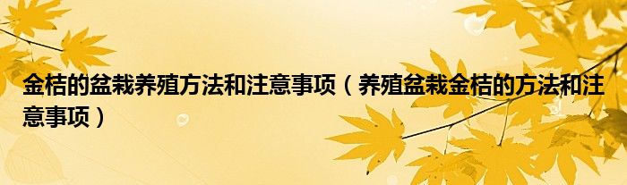 金桔的盆栽养殖方法和注意事项(养殖盆栽金桔的方法和注意事项)
