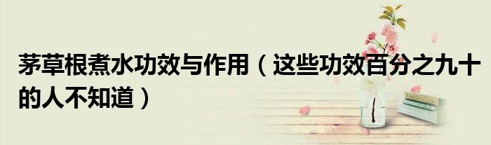 茅草根煮水功效与作用(这些功效百分之九十的人不知道)