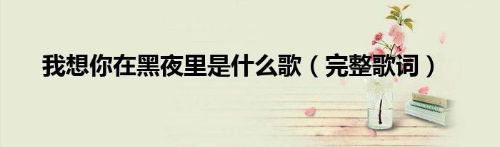 我想你在黑夜里是什么歌(完整歌词)