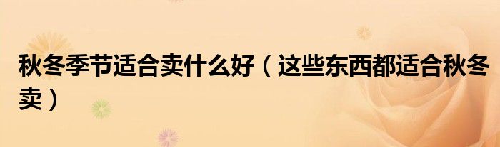 秋冬季节适合卖什么好(这些东西都适合秋冬卖)