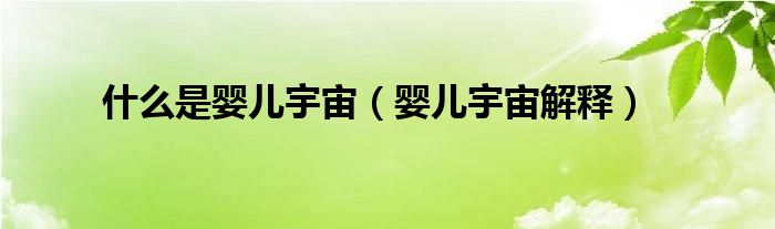 什么是婴儿宇宙(婴儿宇宙解释)