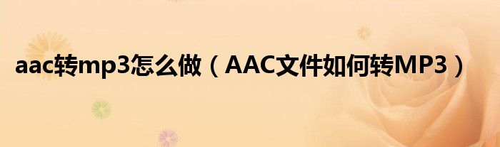 aac转mp3怎么做(AAC文件如何转MP3)