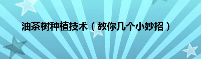 油茶树种植技术(教你几个小妙招)