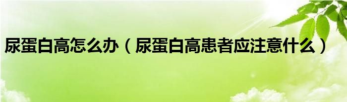 尿蛋白高怎么办(尿蛋白高患者应注意什么)