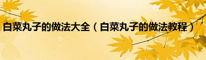 白菜丸子的做法大全（白菜丸子的做法教程）