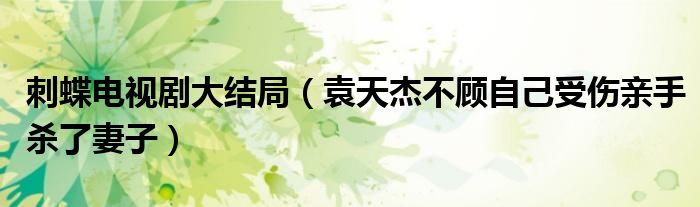 刺蝶电视剧大结局(袁天杰不顾自己受伤亲手杀了妻子)